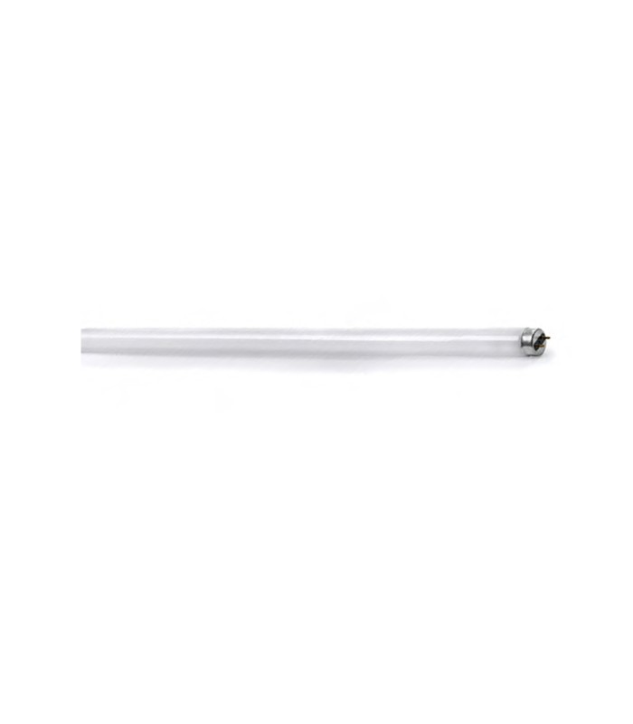 FLUORESCENT TUBE T8 10W G13 6500K (COOL WHITE) 1300010 VITO