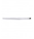 FLUORESCENT TUBE T8 10W G13 6500K (COOL WHITE) 1300010 VITO