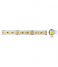 LED STRIP PLUS 12V 180x2835 18W 3M(ADHESIVE TAPE) 10mm IP20 3000K 5m ROLL 5540420 VITO