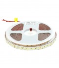 LED STRIP PLUS 12V 180x2835 18W 3M(ADHESIVE TAPE) 10mm IP20 3000K 5m ROLL 5540420 VITO