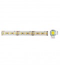 LED STRIP PLUS 12V 180x2835 18W 3M(ADHESIVE TAPE) 10mm IP20 6000K 5m ROLL 5540440 VITO