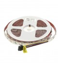 LED STRIP PLUS 12V 60x5050 14.4W 3M(ADHESIVE TAPE) 10mmIP20 RGBW 5m ROLL 5540450 VITO