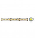 LED STRIP PLUS 24V 180x2835 18W 3M(ADHESIVE TAPE) 10mm IP20 3000K 5m ROLL 5540620 VITO