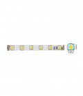 LED STRIP 4040 60CHIPS/m 14,4W/m 1200Lm PRICES PER 1M RGB 12V IP20 5m ROLL 5540080 VITO