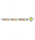 LED STRIP PLUS 24V 120x2835 9.6W 3M(ADHESIVE TAPE) 8mm IP20 3000K 5m ROLL 5540460 VITO