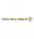 LED STRIP PLUS 24V 120x2835 9.6W 3M(ADHESIVE TAPE) 8mm IP20 6000K 5m ROLL 5540480 VITO