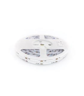 COB LED STRIP LEDStrip+ 24V 840xCOB 22W/m Cut Size 3,55cm/RGB+3CCT 3M Tape 12mm IP20 5m/roll 5541050 VITO