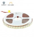 HIGH LUMEN LED STRIP LEDStrip+ 24V 192x2835 17W/m 4000K 2890Lm/m 3M 8mm IP65 5m 5540970 VITO